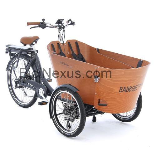 Babboe Carve-E ficha técnica y opiniones